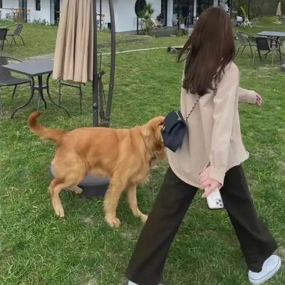 忍者神龟2 海报