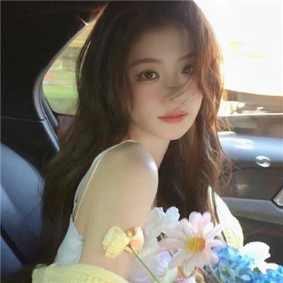 内战圣伯纳犬 海报